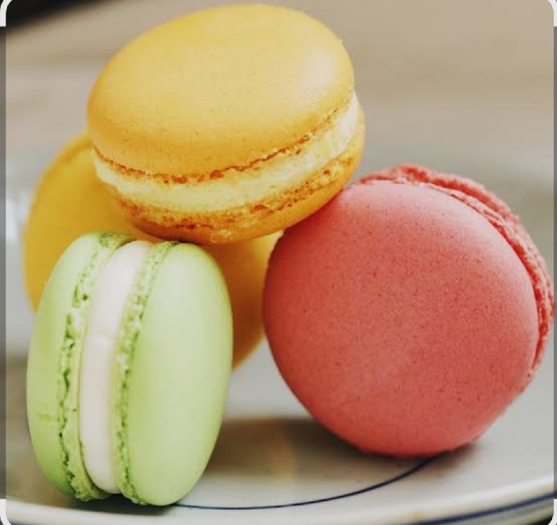 425 MACARON) (2 pezzi)