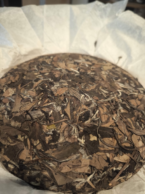 Thé blanc vieux shou mee 2019- 老白茶 théière 