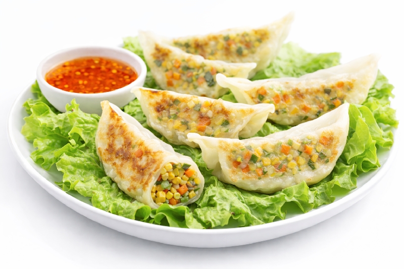 E10 Raviolis aux légumes(6 pcs)