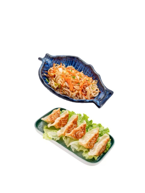 N6 yaki Udon poulet +Gyoza poulet et légume 